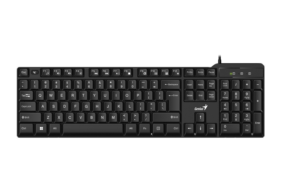 TECLADO USB KB-100X  GENIUS 
31310049401